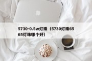 5730-0.5w灯珠（5730灯珠6565灯珠哪个好）
