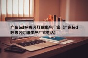 广东led呼吸闪灯珠生产厂家（广东led呼吸闪灯珠生产厂家电话）