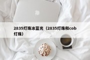 2835灯珠冰蓝光（2835灯珠和cob灯珠）