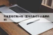 钓鱼蓝光灯珠10瓦（蓝光钓鱼灯什么品牌的好）