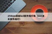 254nm波段led紫外线灯珠（222波长紫外线灯）