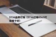 5730品牌灯珠（5730灯珠6565灯珠哪个好）