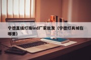 宁德直插灯珠led厂家批发（宁德灯具城在哪里）