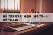 指示灯里面是发光二极管吗（指示灯带一个二极管什么意思）