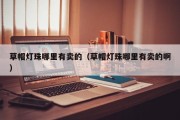 草帽灯珠哪里有卖的（草帽灯珠哪里有卖的啊）