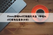 f5mm草帽led灯珠图片大全（草帽led灯珠电压是多少伏）