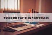 发光二极管那个大厂家（发光二极管的品牌）