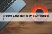 台宏钓鱼头灯改5瓦灯珠（钓鱼头灯维修视频）