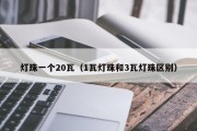 灯珠一个20瓦（1瓦灯珠和3瓦灯珠区别）