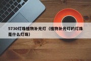 5730灯珠植物补光灯（植物补光灯的灯珠是什么灯珠）