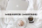 3w白色大功率灯珠（3w白炽灯有多亮）