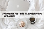 实验双色点阵发光二极管（实验双色点阵发光二极管电路图）