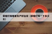 草帽灯珠哪里生产好台宏（草帽灯珠一个多少瓦）
