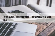 台宏草帽灯珠5mm封装（草帽灯珠坏了怎么换）