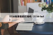 5730有紫色的灯珠吗（5730 led）