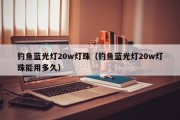 钓鱼蓝光灯20w灯珠（钓鱼蓝光灯20w灯珠能用多久）