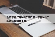 台宏草帽灯珠led灯带厂家（草帽led灯珠怎样分别是多大）