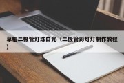 草帽二极管灯珠白光（二极管彩灯灯制作教程）