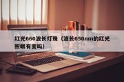 红光660波长灯珠（波长650nm的红光照眼有害吗）