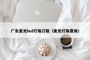 广东紫光led灯珠订做（紫光灯珠费用）