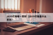 2835灯珠哪一家好（2835灯珠是什么意思）