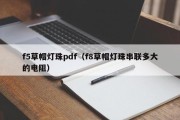 f5草帽灯珠pdf（f8草帽灯珠串联多大的电阻）