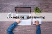 1206带透镜灯珠（透镜专用led灯泡）