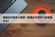带指示灯发光二极管（带指示灯发光二极管是什么）