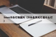 5mm冷白灯珠图片（冷白色荧光灯是什么灯）