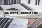 鱼漂led灯珠厂家（鱼漂品牌排名榜 夜光）