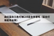 由红蓝白三色灯珠Led适合养草吗（蓝白灯珠能养水草）