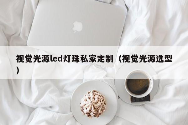 视觉光源led灯珠私家定制(视觉光源选型)
