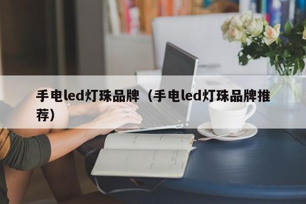 手电led灯珠品牌(手电led灯珠品牌推荐)