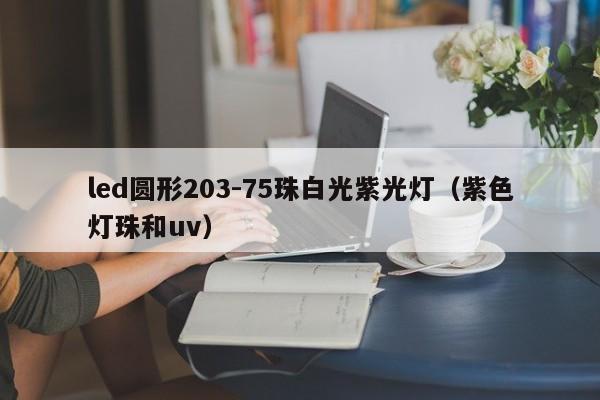 led圆形203-75珠白光紫光灯(紫色灯珠和uv)