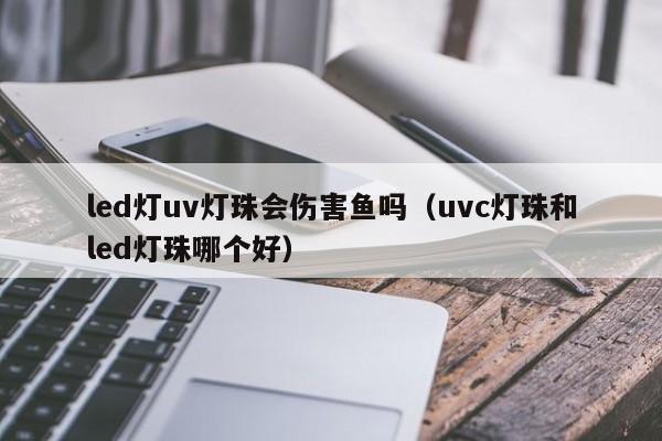 led灯uv灯珠会伤害鱼吗(uvc灯珠和led灯珠哪个好)