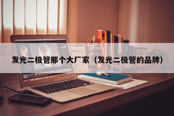 发光二极管那个大厂家(发光二极管的品牌)